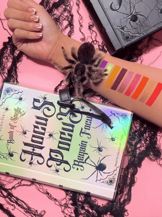 Palette Regain Focus de P.Louise Hocus Pocus