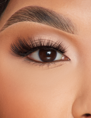 Cils P.Louise - Flair de plumes