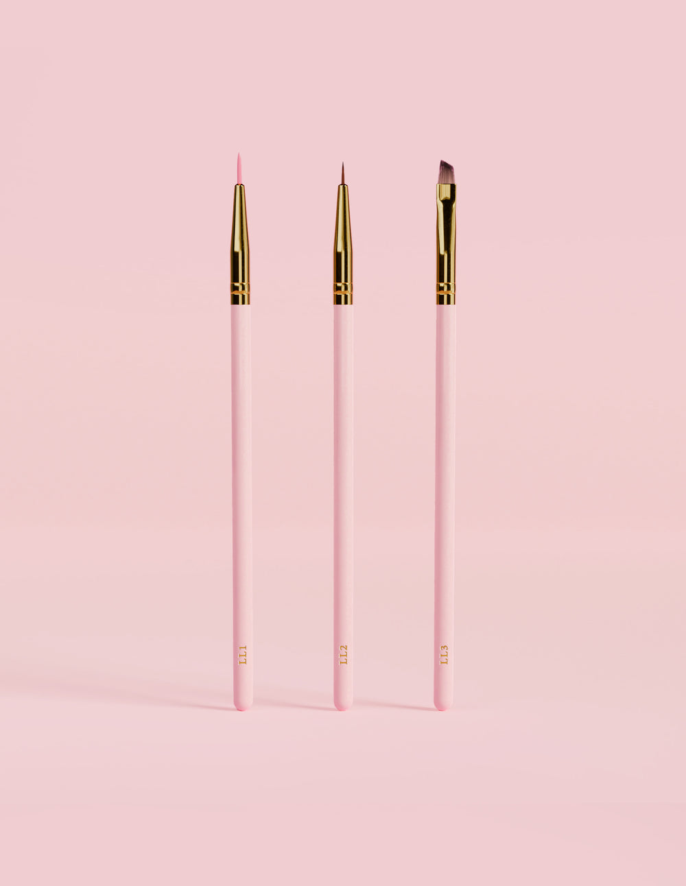 Ensemble de pinceaux pour lignes d'apprentissage