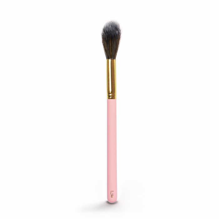 #671 Brosse à plumeau conique plus grande