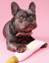 Base Dog Toy