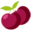 Cerise