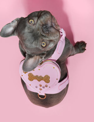 Sac à dos harnais pour chien P.Louise